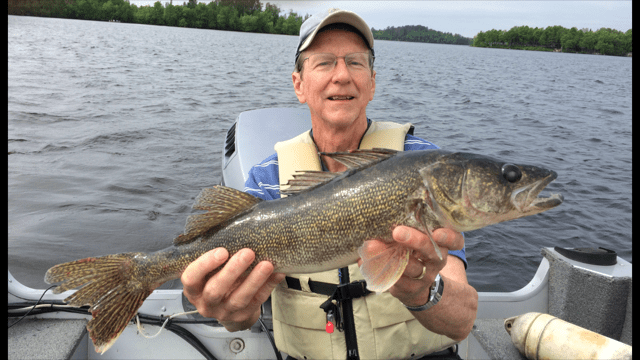 Dale Rutherford walleye on Lake Vermilion