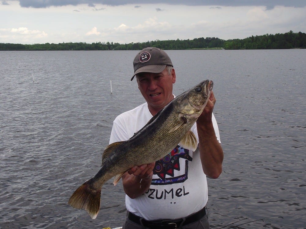 Rosinski with Lake Vermilion walleye