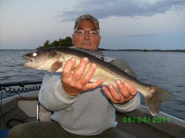 Lake Vermilion walleye