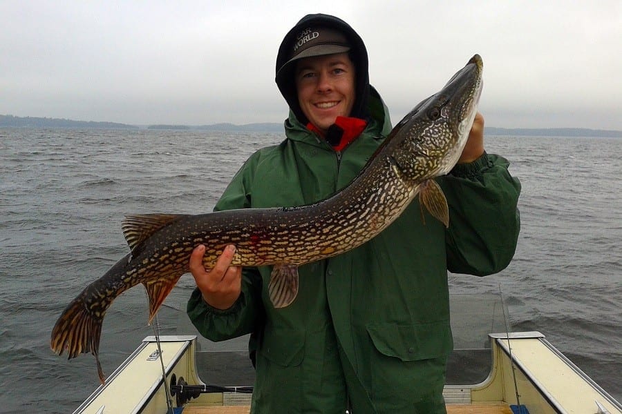 Man with Lake Vermilion northern pike