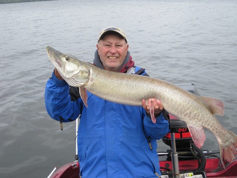 Lake Vermilion muskie fishing