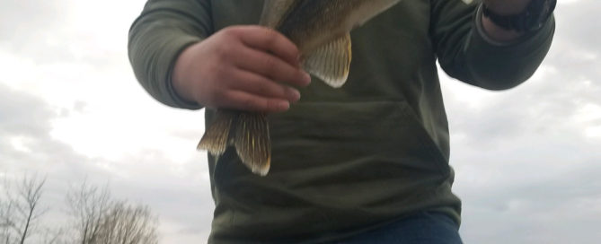 Jaxon with Lake Vermilion walleye