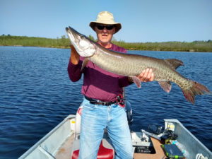 Lake Vermilion musky Wehmer