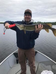 Man holding Northern pike