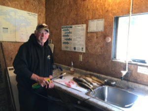 Man with walleyes in Everett Bay Lodge fish house