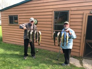 Two men with walleyes caught on Lake Vermilion