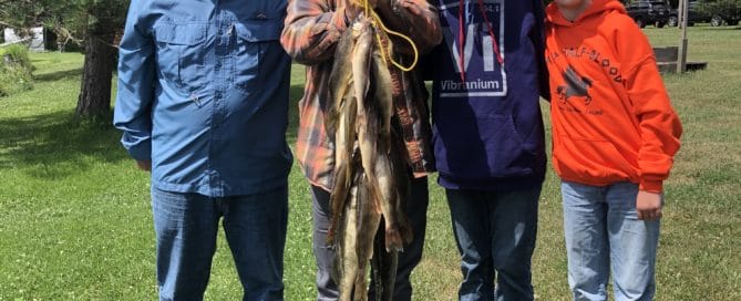 4 people holding a stringer of Lake Vermilion walleyes