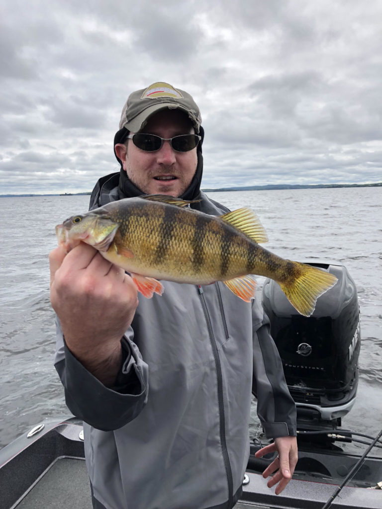 Lake Vermilion fall fishing news - Everett Bay Lodge